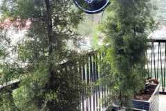 IMG-20260826-WA0017