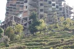 IMG-20260123-WA0009