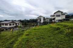 Daaya Owner Villa