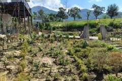 IMG-20260902-WA0017