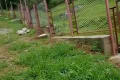 IMG-20260830-WA0006