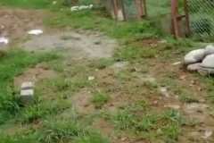IMG-20260830-WA0008